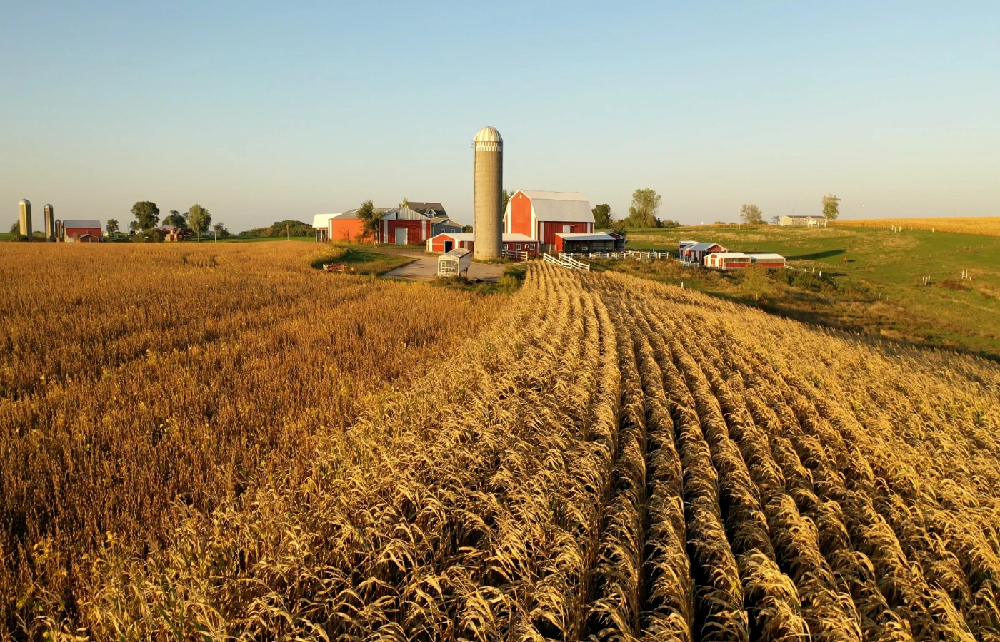 Harvest-ready fields with a farmstead and silo beyond